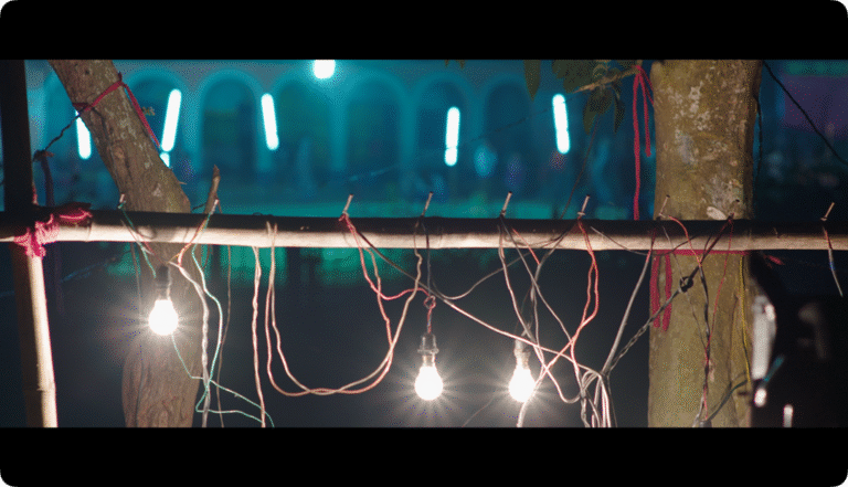 Electricity and Energy